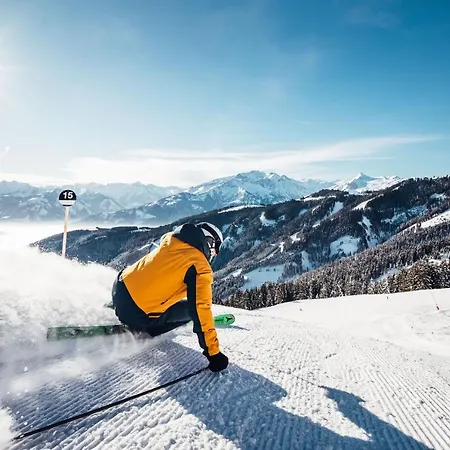 Sulzer By We Rent, Summercard Included Apartment Zell am See