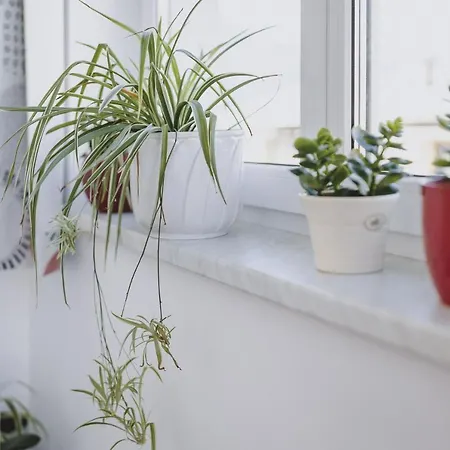 Apartmán Sulzer By We Rent *