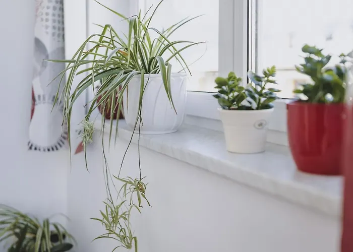 Apartamento Sulzer By We Rent, Summercard Included *